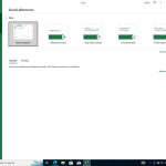 Microsoft Office Professional Plus 2021