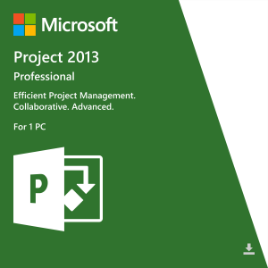 Microsoft Project Professional 2013