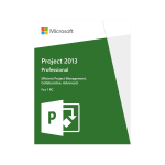 Microsoft Project Professional 2013