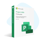 Microsoft Project Professional 2019