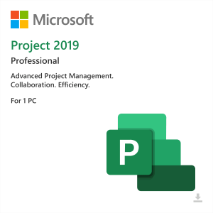 Microsoft Project Professional 2019