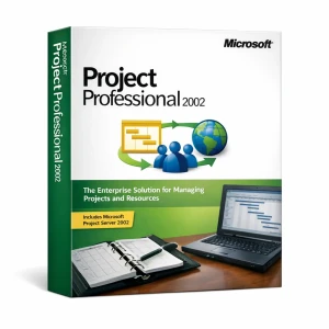 Microsoft Project Professional 2002