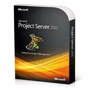 Microsoft Project Server 2010