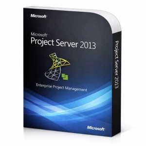 Microsoft Project Server 2013