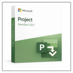 Microsoft Project Standard 2021