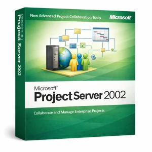 Microsoft Project Server 2002