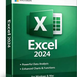 Microsoft Excel 2024