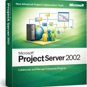 Microsoft Project Server 2002