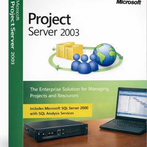 Microsoft Project Server 2003