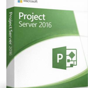 Microsoft Project Server 2016
