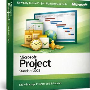 Microsoft Project Standard 2003