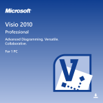 Microsoft Visio Professional 2010