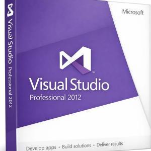 Visual Studio Professional 2012