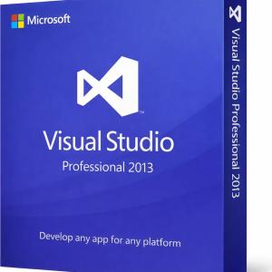 Visual Studio Professional 2013