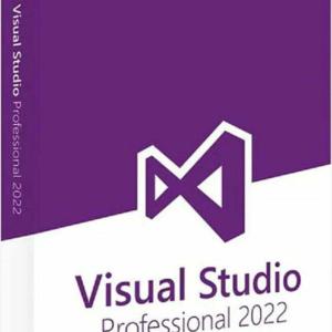 Visual Studio Professional 2022