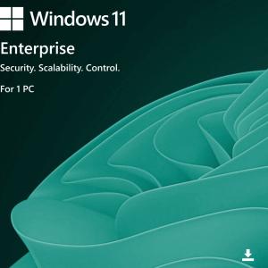 Windows 11 Enterprise