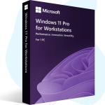 Windows 11 Pro for Workstations