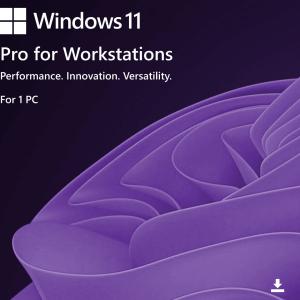 Windows 11 Pro for Workstations