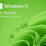 Windows 11 Pro Upgrade — From Windows 11 Home