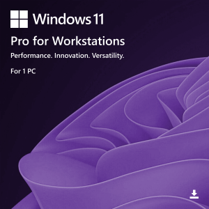 Windows 11 Pro for Workstations